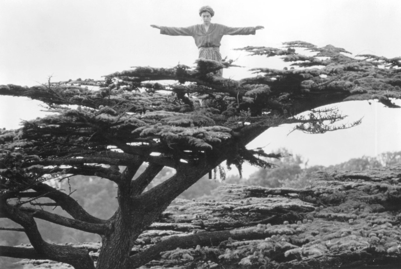 Фото - Фиби Кейтс: 1378x927 / 186 Кб