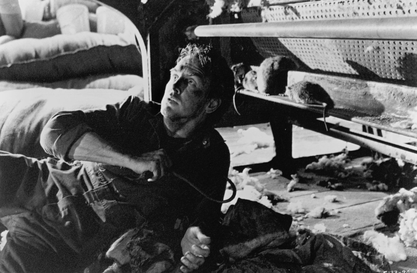 Фото - Эндрю Дивофф: 1344x882 / 217 Кб