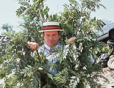 Фото - Том Арнольд: 367x284 / 51 Кб