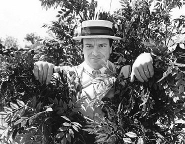 Фото - Том Арнольд: 370x288 / 49 Кб