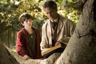 Фото - Дэвид Стрэтэйрн: 323x215 / 23 Кб