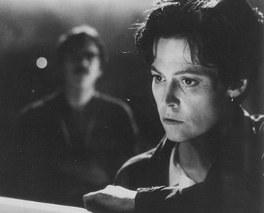 Фото - Стюарт Уилсон: 384x310 / 17 Кб