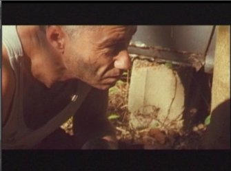 Фото - Anton Saunders: 335x249 / 14 Кб