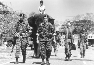 Фото - Корин Немек: 329x228 / 29 Кб