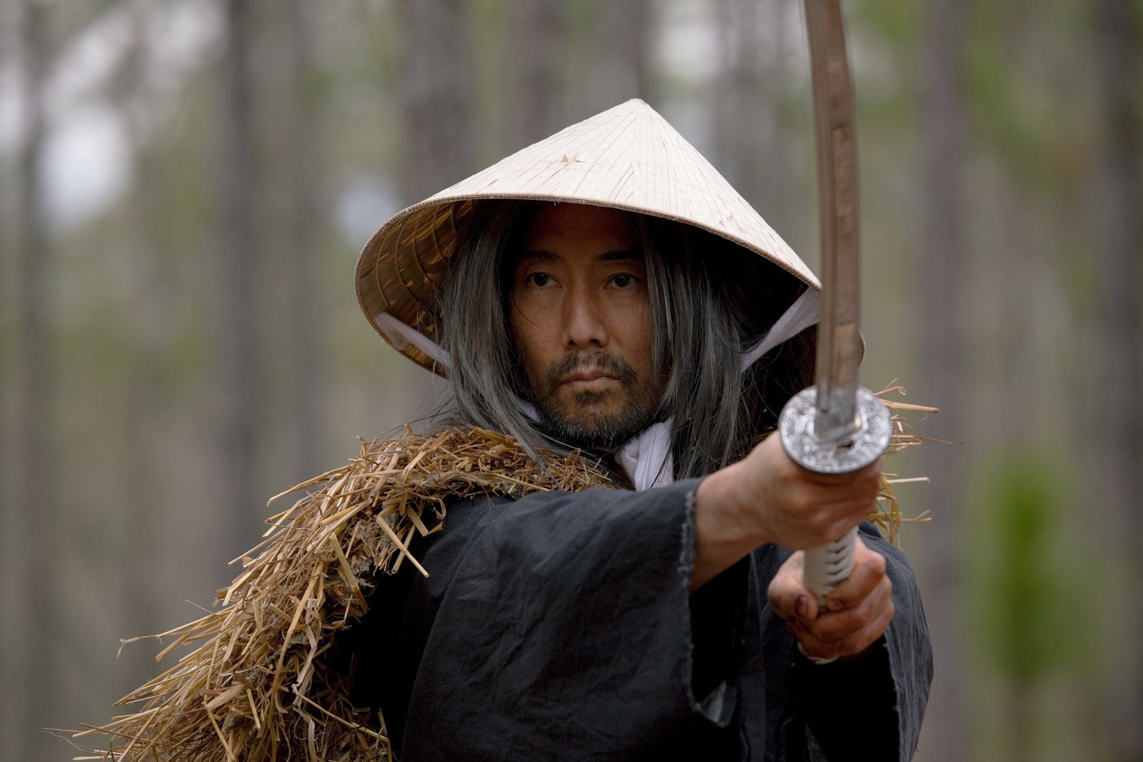 Фото - Хенри Хаяси: 1600x1067 / 203 Кб