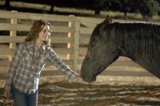 Фото - Элисон Ломан: 321x212 / 18 Кб