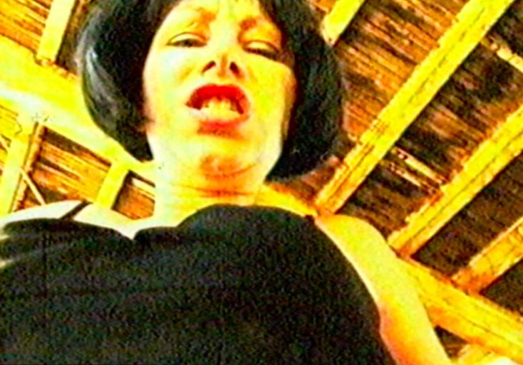 Фото - Jennifer Scott: 734x513 / 81 Кб