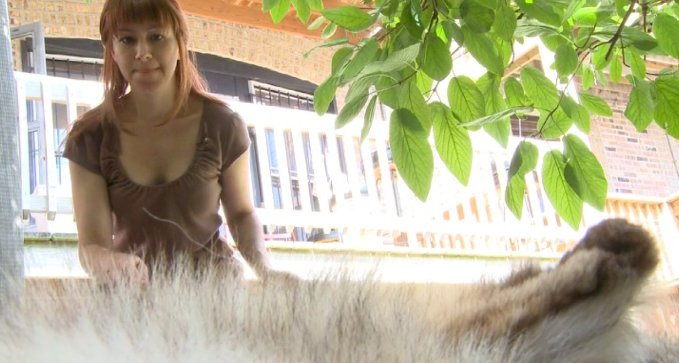 Фото - Jennifer Scott: 679x363 / 54 Кб