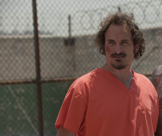 Фото - Ким Коутс: 548x460 / 34 Кб