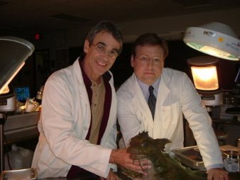 Фото - Пэтт Нодэй: 338x254 / 19 Кб