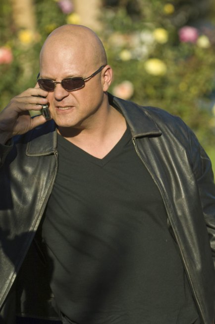 Фото - Майкл Чиклис: 434x653 / 39 Кб