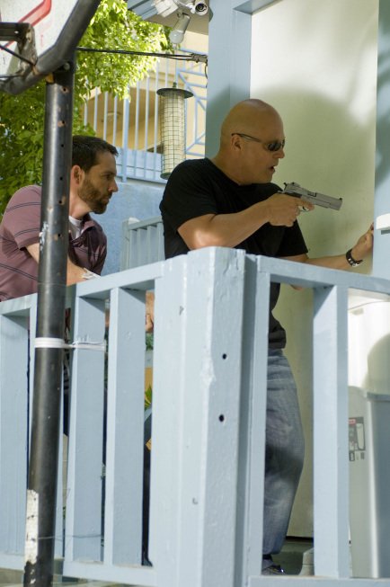 Фото - Майкл Чиклис: 434x653 / 51 Кб