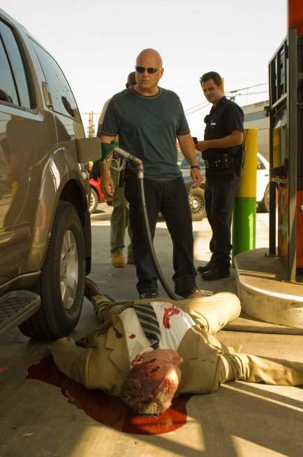 Фото - Майкл Чиклис: 434x653 / 58 Кб