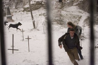 Фото - Дэвид Тьюлис: 322x214 / 17 Кб