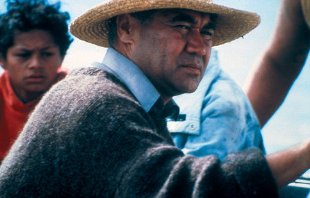 Фото - Равири Паратене: 310x198 / 17 Кб