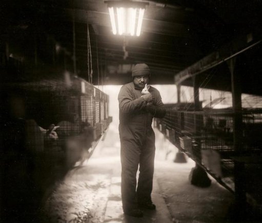 Фото - James Olea: 511x435 / 33 Кб