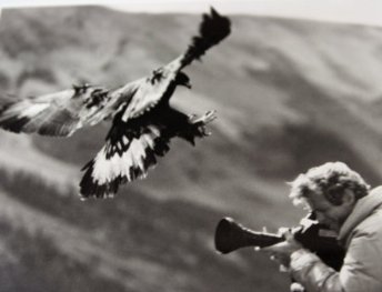 Фото - Марк Стауффер: 344x263 / 16 Кб