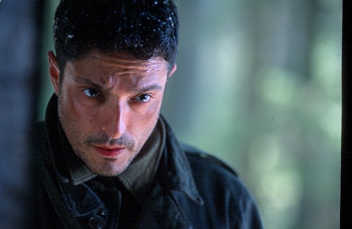 Фото - Романо Орцари: 715x466 / 43 Кб