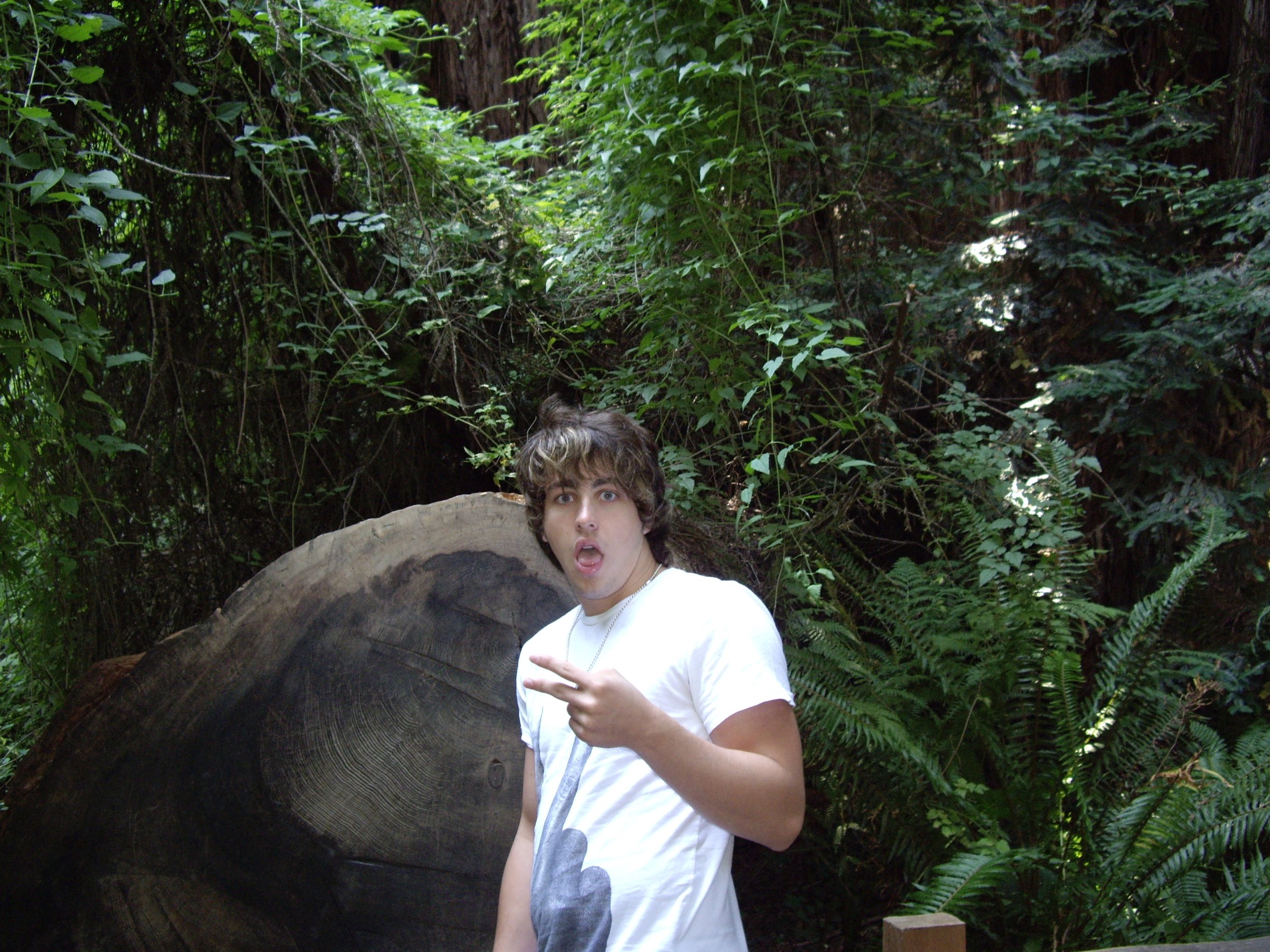 Фото - Дэвид Флэннери: 2448x1836 / 879 Кб