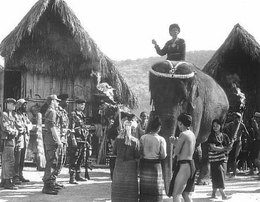 Фото - Дэнис Лири: 369x287 / 33 Кб