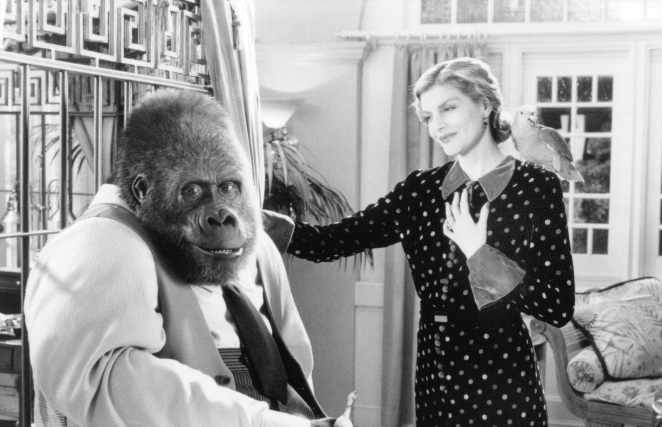 Фото - Рене Руссо: 1321x852 / 180 Кб