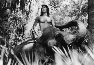 Фото - Джейсон Скотт Ли: 330x229 / 30 Кб