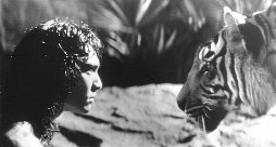 Фото - Джейсон Скотт Ли: 254x136 / 11 Кб