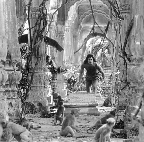 Фото - Джейсон Скотт Ли: 469x463 / 68 Кб