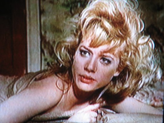 Фото - Cathryn de Prume: 540x405 / 45 Кб