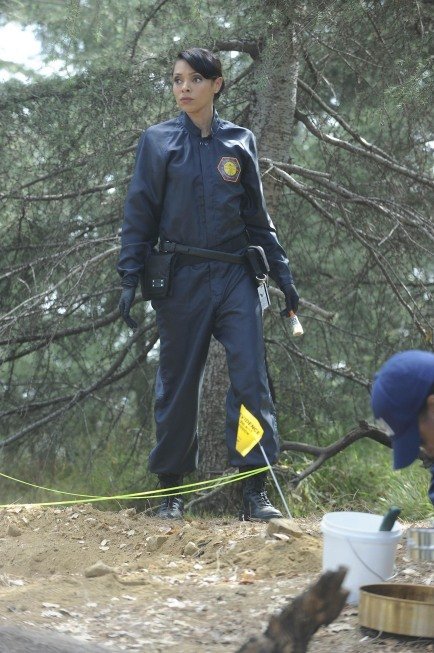 Фото - Тамара Тейлор: 434x653 / 87 Кб