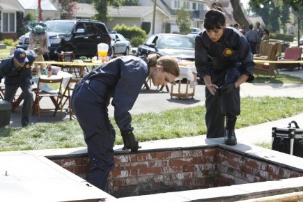 Фото - Тамара Тейлор: 435x290 / 40 Кб