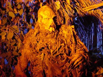 Фото - Chuck Williams: 338x254 / 38 Кб