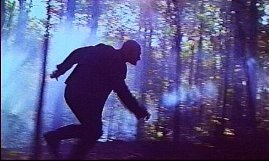 Фото - Аарон Майкл Лэйси: 269x161 / 15 Кб