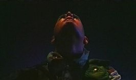 Фото - Аарон Майкл Лэйси: 266x157 / 5 Кб