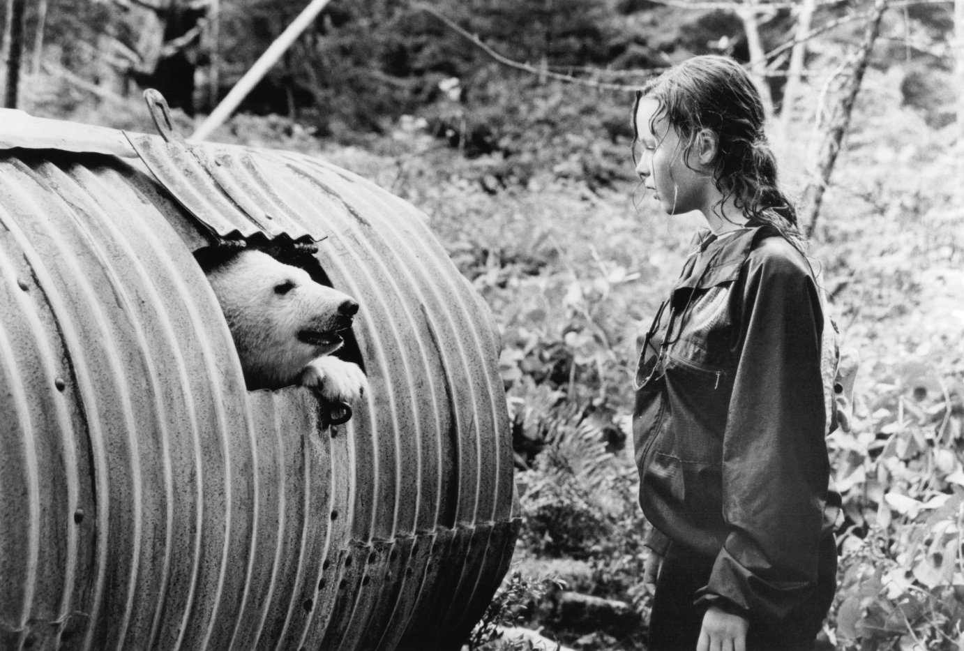 Фото - Тора Берч: 1382x933 / 256 Кб