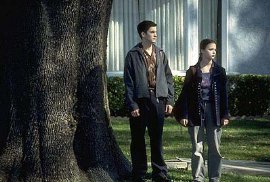 Фото - Тора Берч: 270x182 / 18 Кб