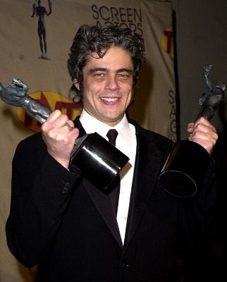 Фото - Бенисио дель Торо: 322x400 / 21 Кб