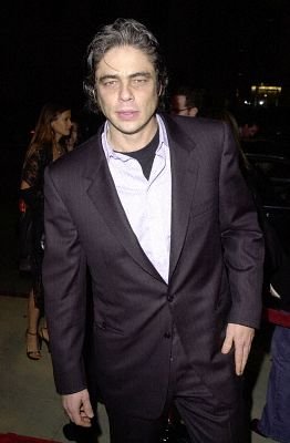 Фото - Бенисио дель Торо: 262x400 / 18 Кб