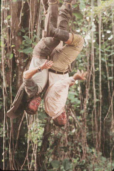 Фото - Шонн Уильям Скотт: 450x671 / 68 Кб