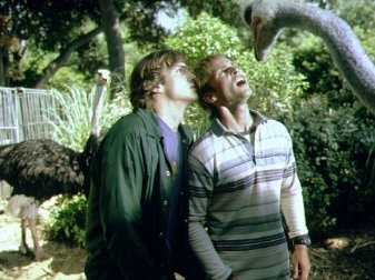 Фото - Шонн Уильям Скотт: 337x252 / 29 Кб