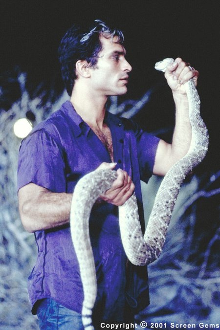 Фото - Джонатон Шек: 450x675 / 65 Кб