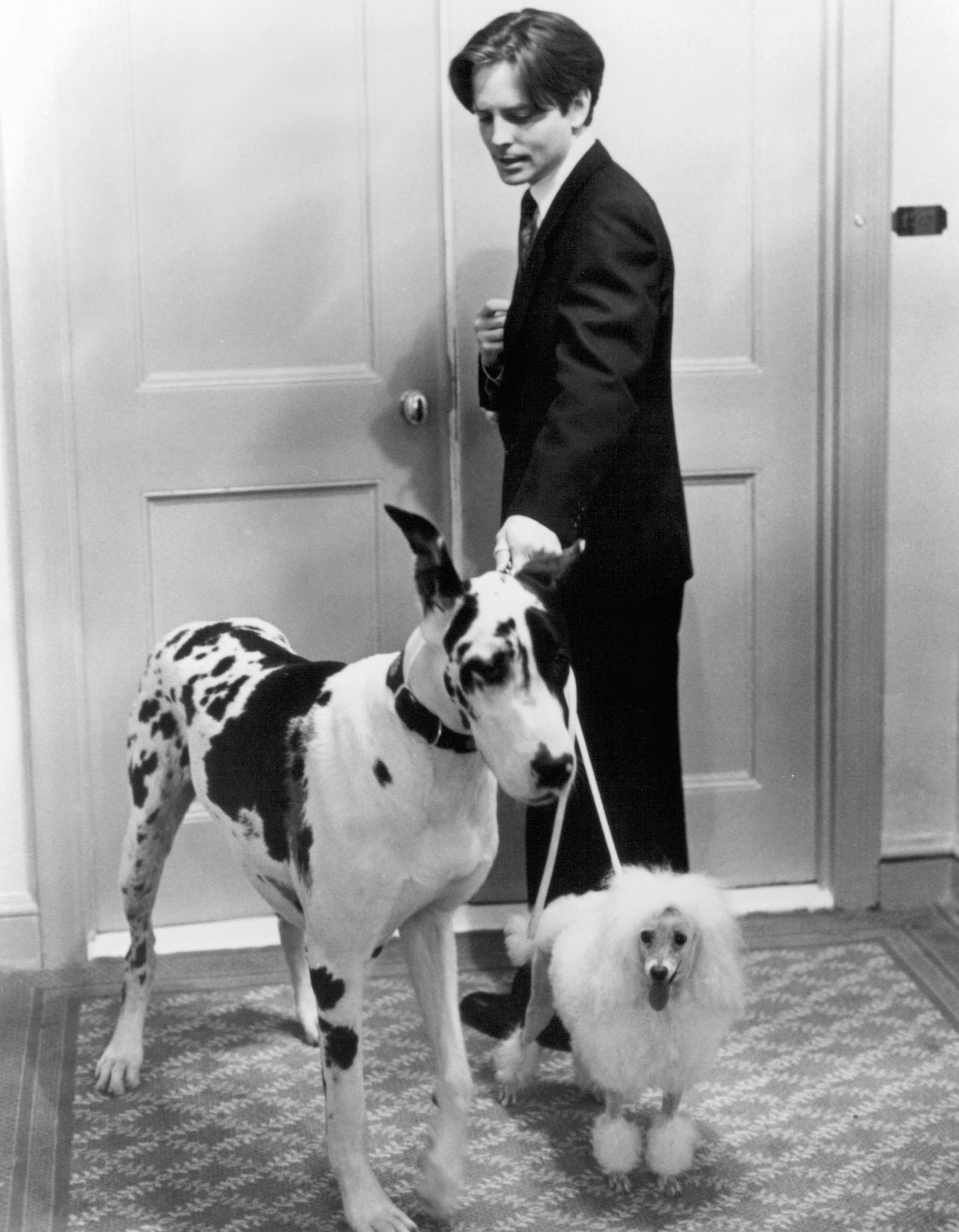 Фото - Габриель Анвар: 1594x2048 / 373 Кб