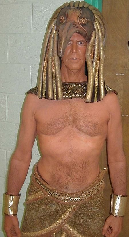 Фото - Стив Уоррен: 450x826 / 81 Кб