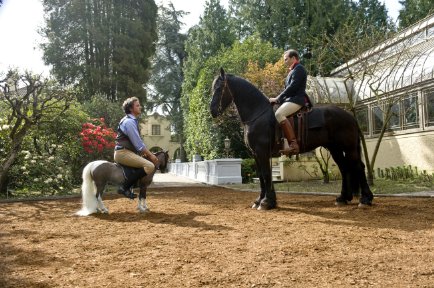 Фото - Питер Серафинович: 434x288 / 50 Кб