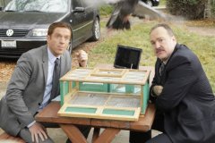 Фото - Дэмиэн Льюис: 240x160 / 13 Кб