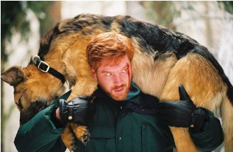 Фото - Дэмиэн Льюис: 328x215 / 21 Кб