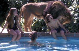 Фото - Мелани Гриффит: 276x181 / 18 Кб