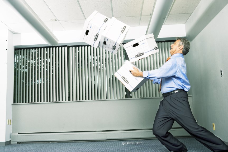 Фото - Стивен Вайз: 864x576 / 87 Кб