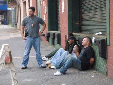 Фото - Vincent Caiola: 450x338 / 40 Кб