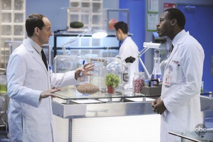 Фото - Малкольм Баррет: 426x284 / 29 Кб